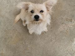 -武汉世外桃源农庄