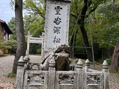 -灵谷景区