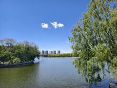 -北陵公园