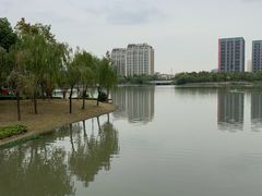 -南翔镇银翔湖公园
