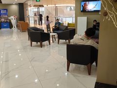 -瑞尔齿科(时代诊所)