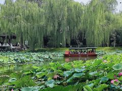 -皇家御河游(紫御湾码头)