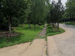 -永定河休闲森林公园