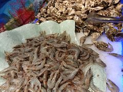 -比尔森韩式烤肉自助(绿园店)