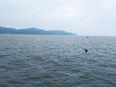 -大鹿岛