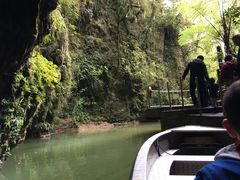 -怀托摩萤火虫洞