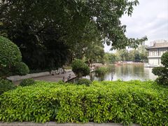 -荔湾湖公园