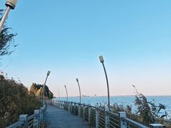 -阳澄湖半岛旅游度假区