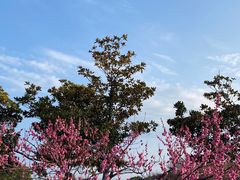 -尚湖风景区