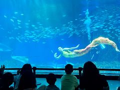 -海合安成都极地海洋公园