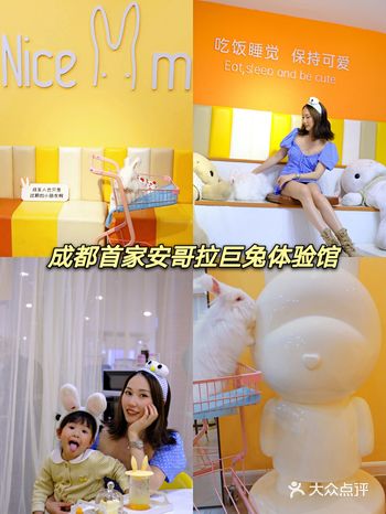 探店 | 成都首家安哥拉兔体验馆