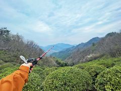 -素山寺森林公园