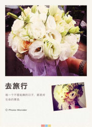 -IDOI婚礼策划·IDOIWEDDING
