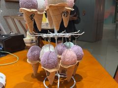 -野人先生现做冰淇淋(北京环宇荟店)
