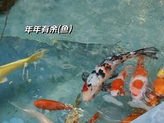 -57度湘(王府井10F店)