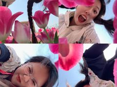 -荷兰花海