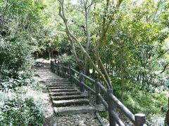 -上海佘山国家森林公园天马山园