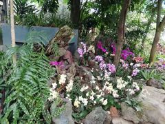 -南山植物园