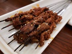 生烤羊肉串-沙力海(北大街店)