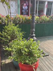 -爱儿美儿童摄影(五路居花园别墅店)