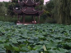 -新江湾城公园