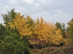 -长安大学(北校区)