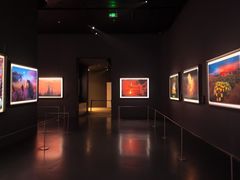 -罗红摄影艺术馆