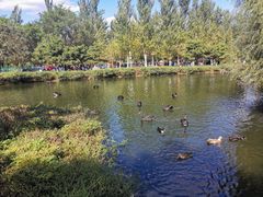 -长白岛森林公园