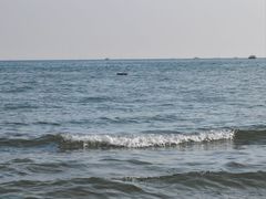 -万尾金滩