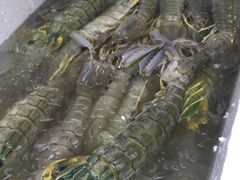 皮皮虾-拉威海鲜市场
