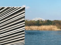 -洋湖国家湿地公园