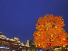-紫阳古街