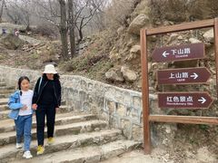-大岭沟猕猴桃谷风景区