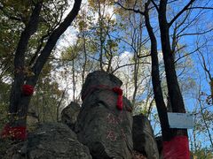 -参仙谷生态旅游度假区