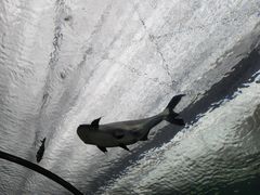 -珠海长隆海洋王国