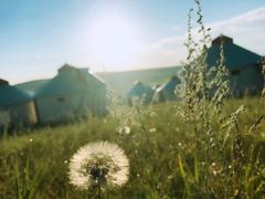 -敕勒川草原文化旅游区
