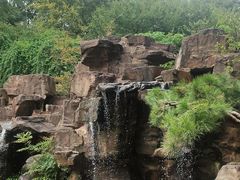 -苏州上方山国家森林公园