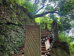 -青城山