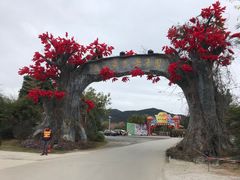 -天适樱花悠乐园