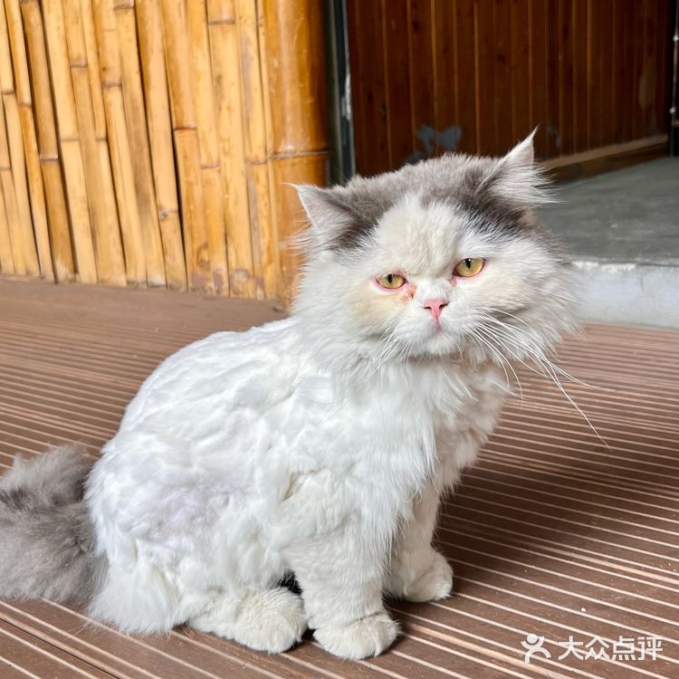 在大理｜云南的夏天当然要吃菌子啦！