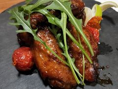 -百好乐宠物友好餐厅(朝外大街店)