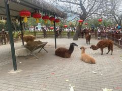 -西安秦岭野生动物园