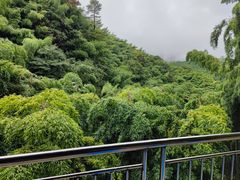 -藏龙百瀑风景区