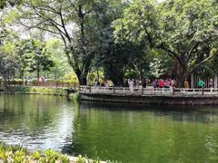 -晓港公园