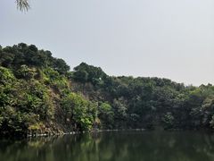 -王借岗森林公园