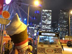-富豪雪糕车流动点(尖沙咀店)