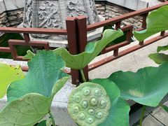 -湘子庙
