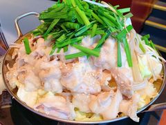博多牛肠火锅-九州酒场ひこぞう(1号店)