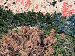 -崂山仰口游览区