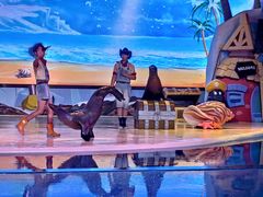 -三亚海昌梦幻海洋不夜城